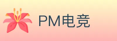 PM电竞 logo